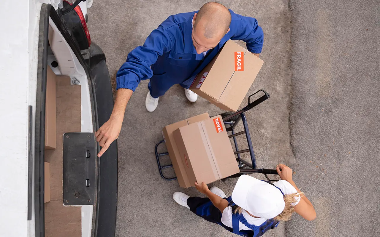 Sammeln & Verpacken